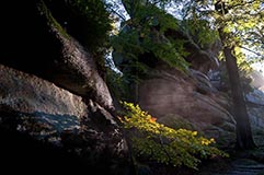 Waldstein - Zum Vergroessern klicken!